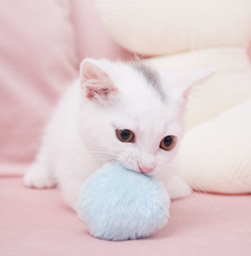 Catnip Cat Ball Toy